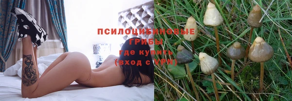 ГАЛЛЮЦИНОГЕННЫЕ ГРИБЫ Алексин